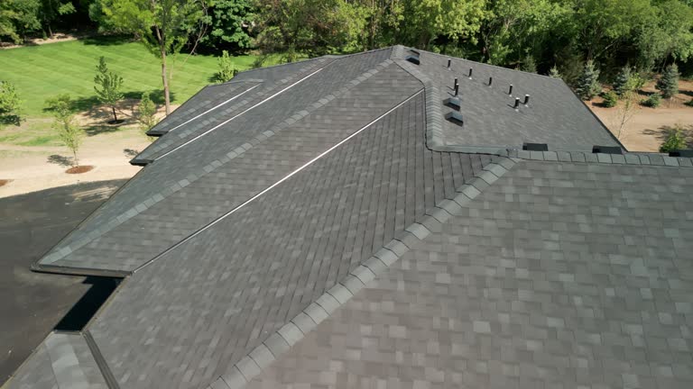 Best Roof Ventilation Installation  in Horse Pasture, VA