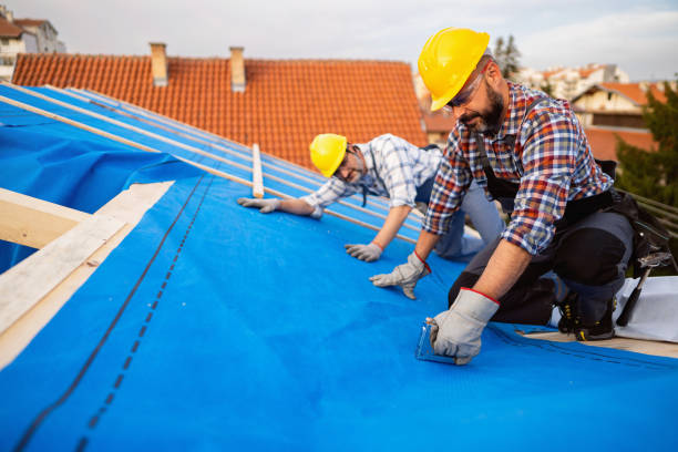 Best Emergency Roof Repair Services  in Horse Pasture, VA