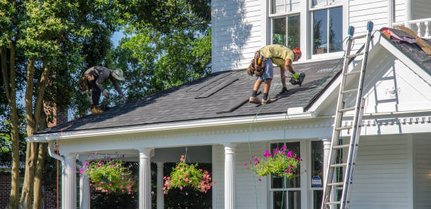 Best Roof Maintenance and Cleaning  in Horse Pasture, VA